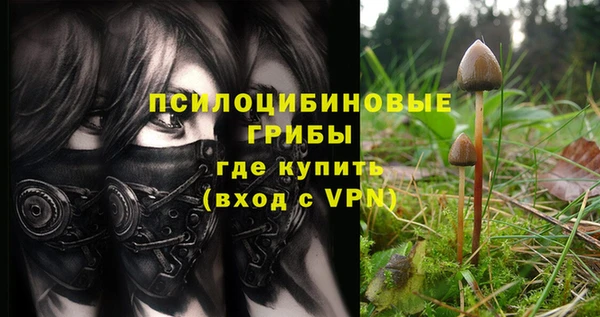 не бодяженный Арсеньев