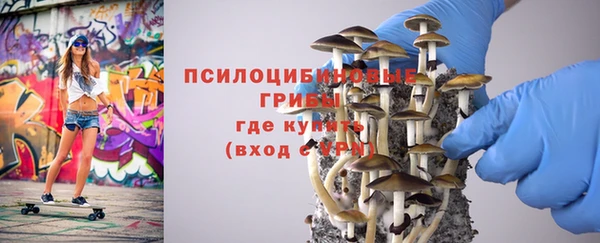 не бодяженный Арсеньев