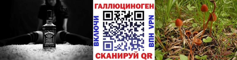 ссылка на мегу Асбест Галлюциногенные грибы MAGIC MUSHROOMS