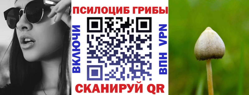 Галлюциногенные грибы мицелий Асбест